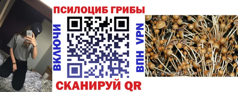Купить закладки  Елизаветинская  Галлюциногенные грибы мицелий 